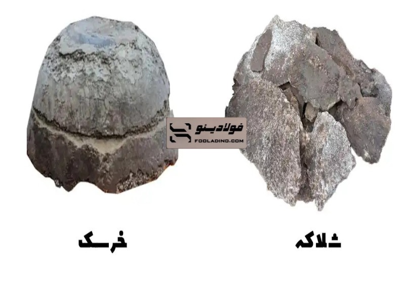 تفاوت خرسک و شلاکه